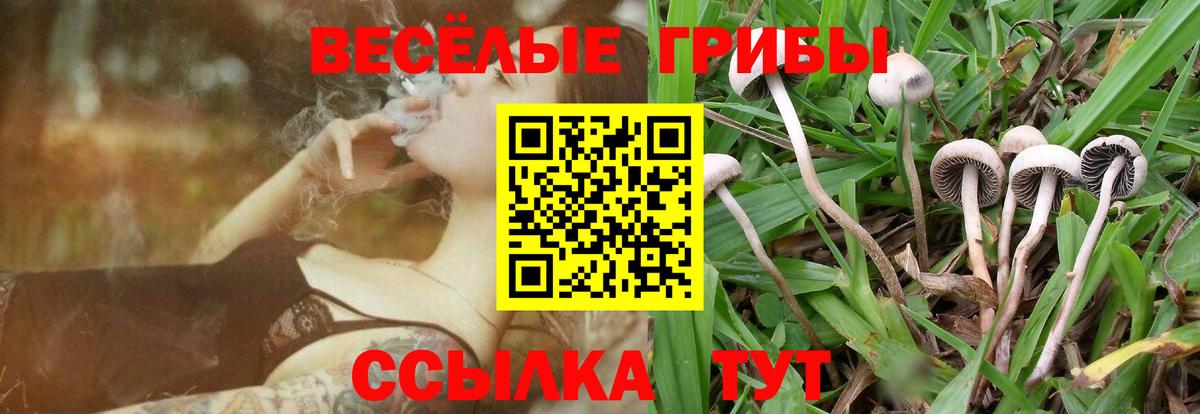 Галлюциногенные грибы мухоморы  Вход с VPN  Коммунар 
